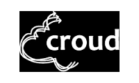 Croud Inc